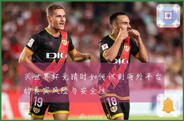 买世界杯竞猜时如何识别海外平台的真实风险与安全性