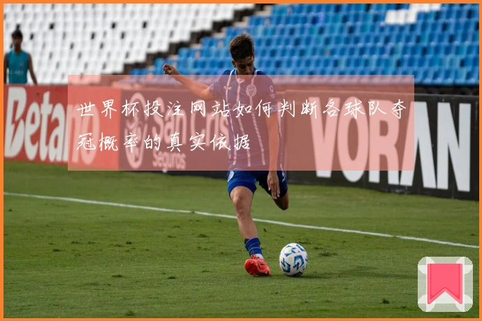 世界杯投注网站如何判断各球队夺冠概率的真实依据