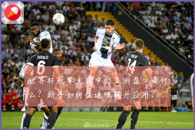 世界杯冠军竞猜中的亚洲盘口是什么？新手如何快速理解并应用？