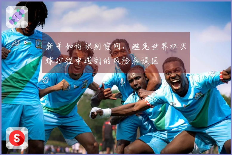 新手如何识别官网，避免世界杯买球过程中遇到的风险和误区