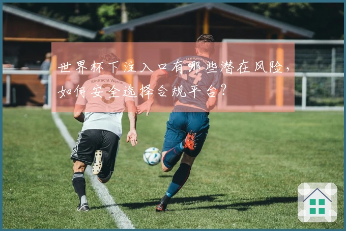 世界杯下注入口有哪些潜在风险，如何安全选择合规平台？