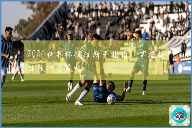 2026世界杯投注新手指南，掌握投注技巧与策略
