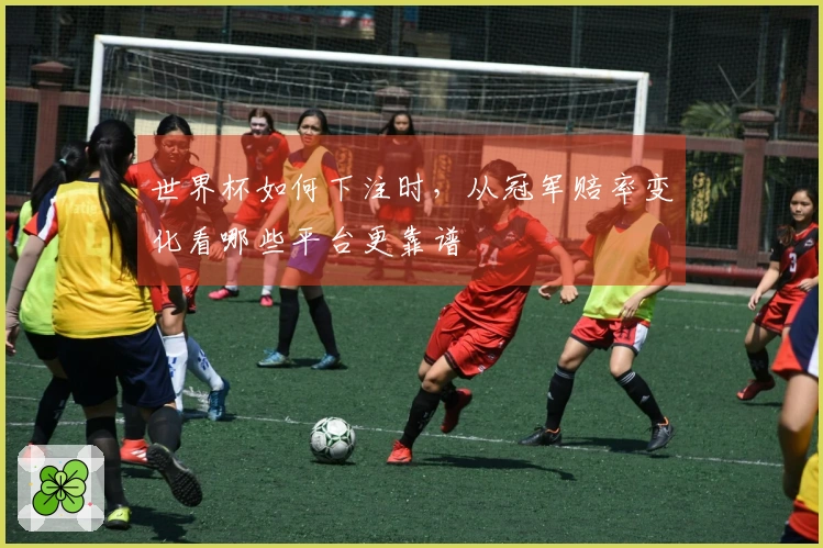 世界杯如何下注时，从冠军赔率变化看哪些平台更靠谱