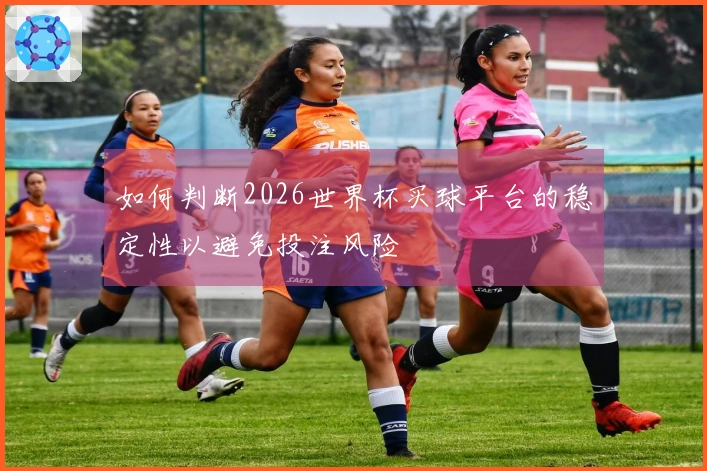 如何判断2026世界杯买球平台的稳定性以避免投注风险