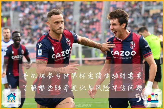 手机端参与世界杯竞猜活动时需要了解哪些赔率变化与风险评估问题