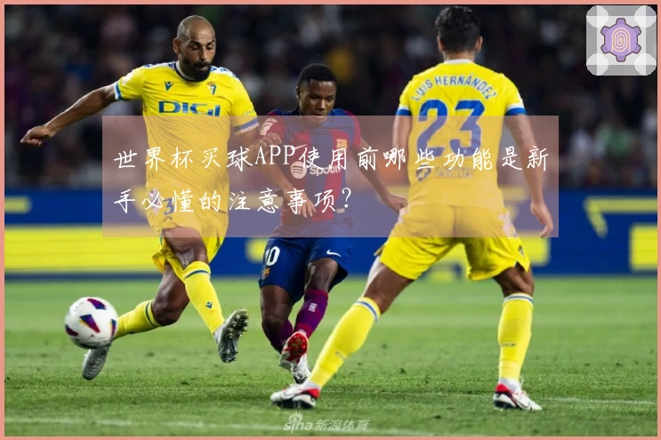 世界杯买球APP使用前哪些功能是新手必懂的注意事项？
