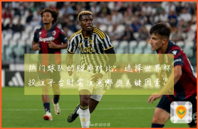 热门球队的赔率对比：选择世界杯投注平台时需注意哪些关键因素？