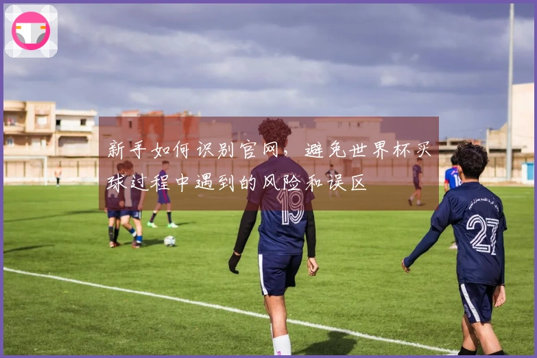 新手如何识别官网，避免世界杯买球过程中遇到的风险和误区