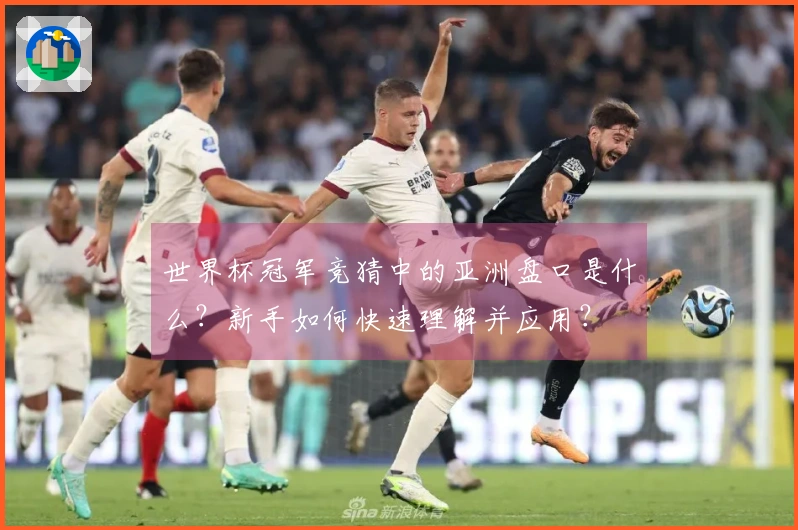 世界杯冠军竞猜中的亚洲盘口是什么？新手如何快速理解并应用？