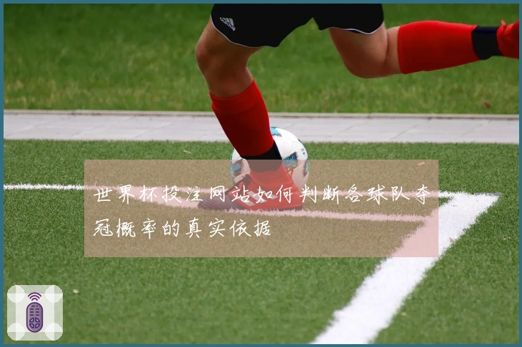 世界杯投注网站如何判断各球队夺冠概率的真实依据