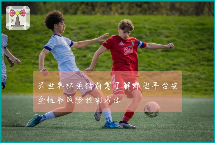 买世界杯竞猜前需了解哪些平台安全性和风险控制方法
