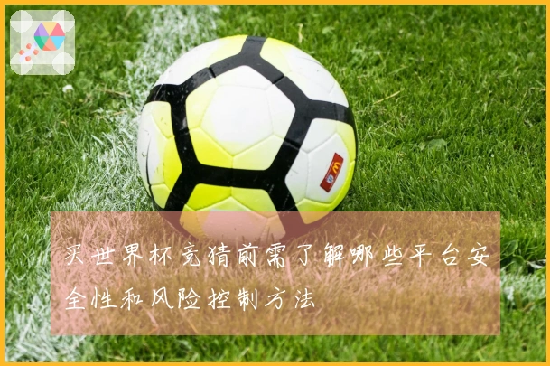 买世界杯竞猜前需了解哪些平台安全性和风险控制方法