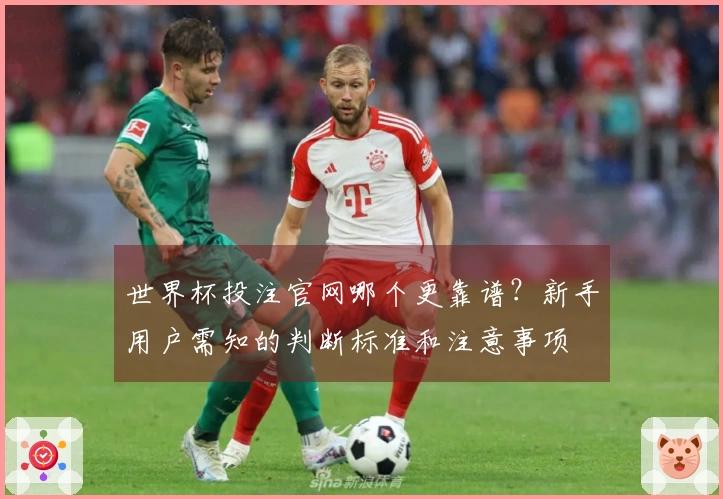 世界杯投注官网哪个更靠谱？新手用户需知的判断标准和注意事项