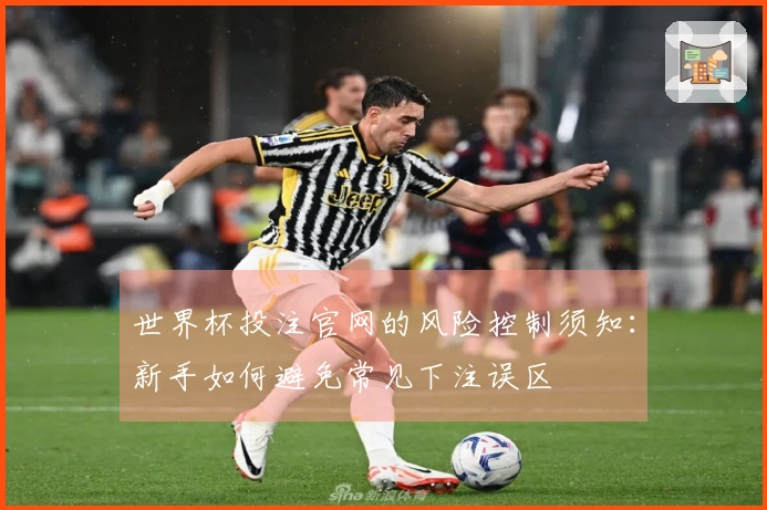 世界杯投注官网的风险控制须知：新手如何避免常见下注误区