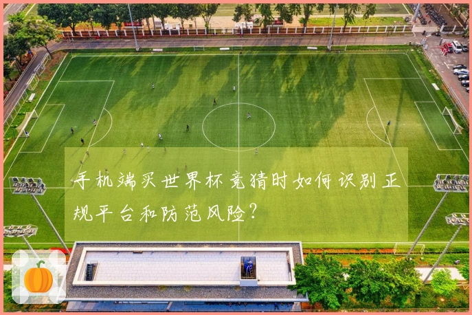 手机端买世界杯竞猜时如何识别正规平台和防范风险？