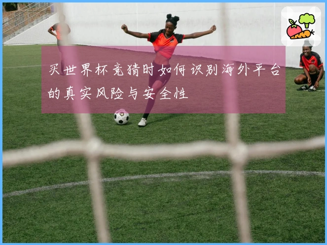 买世界杯竞猜时如何识别海外平台的真实风险与安全性
