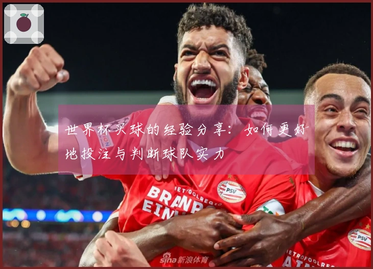世界杯买球的经验分享：如何更好地投注与判断球队实力