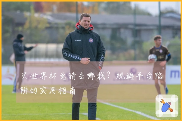 买世界杯竞猜去哪找？规避平台陷阱的实用指南