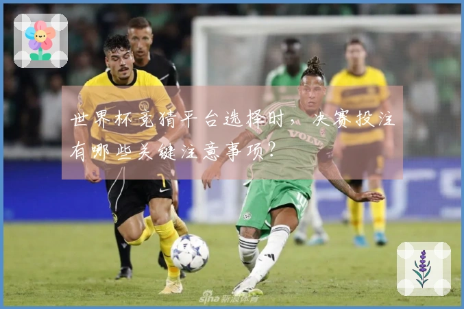 世界杯竞猜平台选择时，决赛投注有哪些关键注意事项？