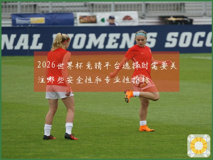 2026世界杯竞猜平台选择时需要关注哪些安全性和专业性指标