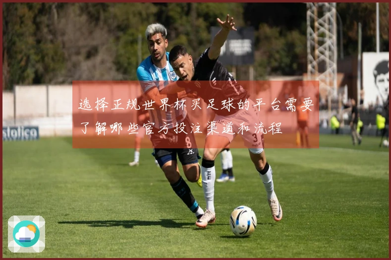 选择正规世界杯买足球的平台需要了解哪些官方投注渠道和流程