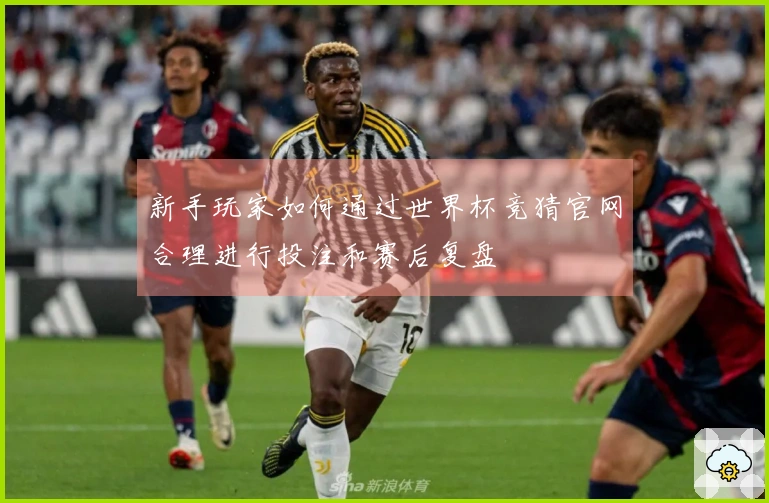 新手玩家如何通过世界杯竞猜官网合理进行投注和赛后复盘