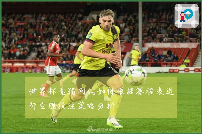世界杯竞猜网站如何根据赛程表进行合理投注策略分析